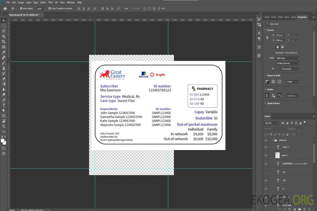Carte d'assurance maladie de Singapour template